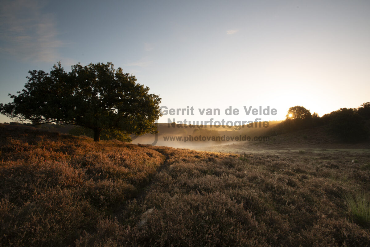 Gerrit-vd-Velde-7360-x-4912_GEV8730